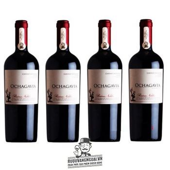 Vang Chile OCHAGAVIA Raice Noble