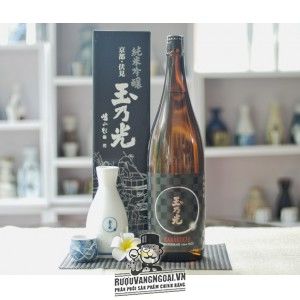 Rượu Sake Junmai Ginjo Karakuchi