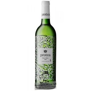 Rượu Vang Nam Phi PROTEA CHENIN BLANC