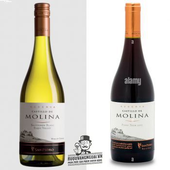 Vang Chile Castillo de Molina San Pedro Reserva Đỏ - Trắng